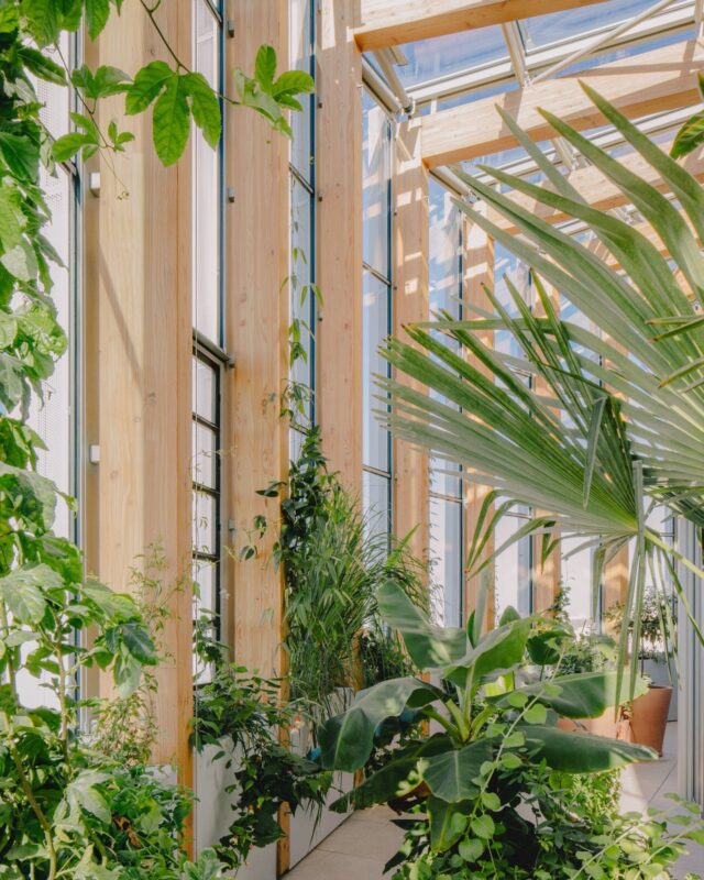 Tour Racine, beautiful winter garden, Guthrie Douglas Bespoke shading solution, TESS™ 102 blinds